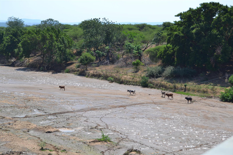 The Zululand district has been one of the worst affected in KwaZulu-Natal with many rivers completely drying out and taps running dry